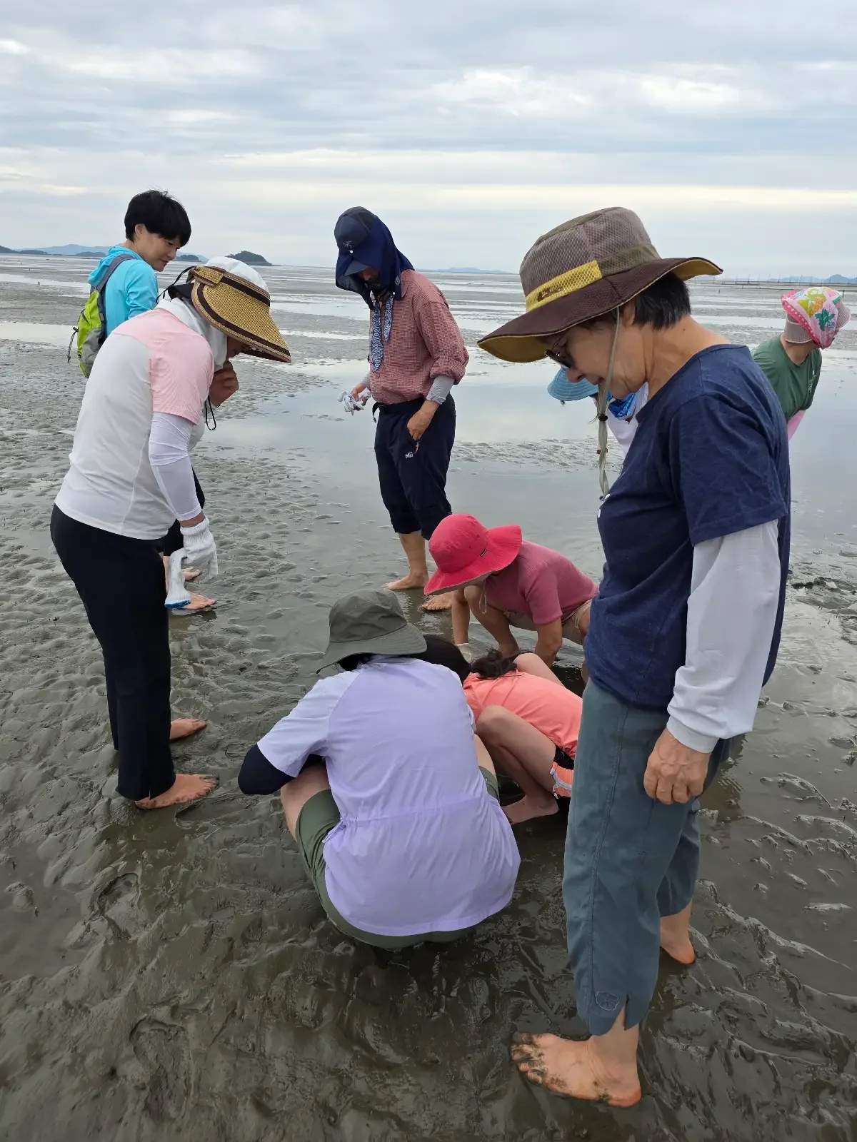 Participants in sun hats gathering and bending to look at the tidal-flat surface
